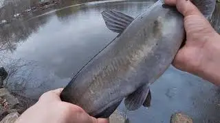 Spring Time Catfishing