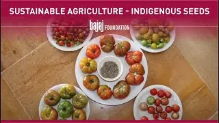 Bajaj Foundation celebrates #EarthDayEveryday through Sustainable Agricultural Practices