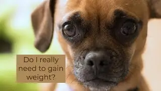 Do I really need to gain weight?