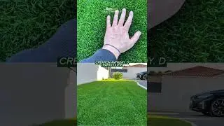 ZOOM SUR... - Team Gold 🇺🇸🌱