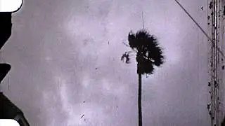 Wetlands (Official Video) SUSS