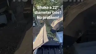 2023 Pistachio Demo on 50+ year old trees- Sacramento, CA