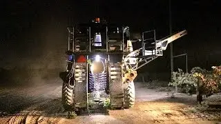 Harvesting Grapes 🍇  Machine