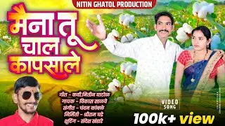 मैना तू  चाल कापसाले / Maina Tu Chal Kapsale || Nitin Ghatol