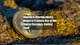 Nigeria Is Altering eNaira Model to Promote Use of the Digital Currency: Central Bank