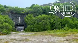 Hopton Quarry, Derbyshire (OH153)