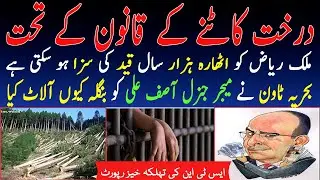 Cutting trees: Malik Riaz deserves 18,000 years of imprisonments under forest laws