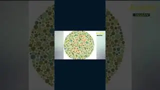 😲 IF YOU SEE A 1 YOU'RE COLORBLIND | Color blind test in Urdu | Amazing trick and illusions