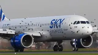 SkyExpress A320 Landing in CLOUD OF BIRDS!!!! (Almost birdstrikes???)
