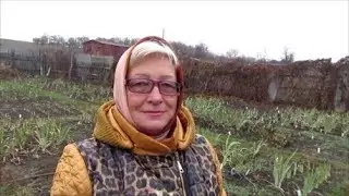 Полезные советы - О теплицах в преддверии весны.