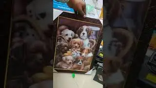 #shorts 5d Frame cute Dog Family Best Gift || osm Gift