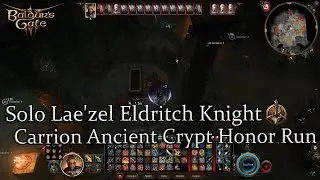 Solo Lae'zel Eldritch Knight Mystic Carrion Ancient Crypt Honor Run Part 48