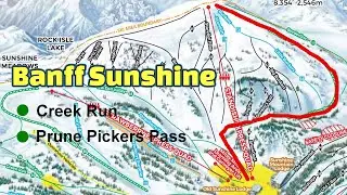 Banff Sunshine, Skiing Creek Run & Prune Pickers Pass. Easy Greens.
