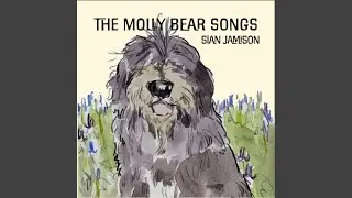 Molly Bear