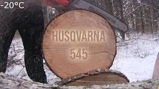 Husqvarna 545 Chainsaw - Cookie cutting Test