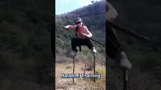 Chinese Wushu Balance Training #kungfu #martialarts