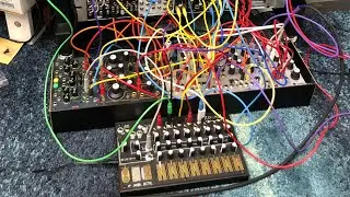 Live Eurorack Improvisation with Behringer 914 filter bank, Make Noise 0-ctrl, Instruo CS-L, DFAM