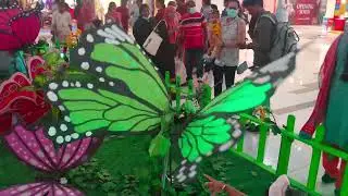 Butterfly Park | Marina Mall