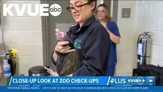 New Jersey zoo shows look at animal check-ups