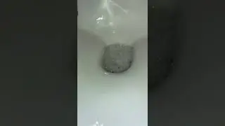 Ideal Standard toilet in my house