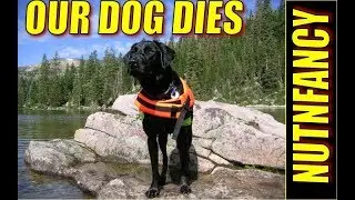 Allie Dies