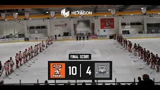 Hexagon Telford Tigers Vs Sheffield Steeldogs