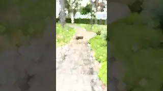 Mini Hearattack