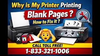 Call 1-833-321-1006 for Printer Printing Blank Pages 😱 Here’s the REAL Fix (Works Instantly)