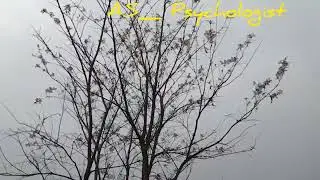 Mental health _ connect your nature