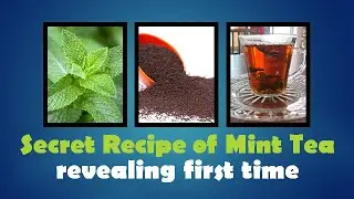 Secret Recipe of Mint Tea revealing first time