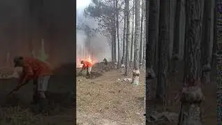 Recrudece el fuego forestal en Corrientes
