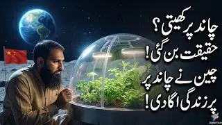 Life Begins on the Moon: China's Historic Space Triumph | Moon Plants Explained