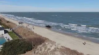 North Atlantic right whale necropsy reveals cause of death