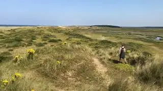 East Anglia, roseti, boschi incantati e giardini d’autore!