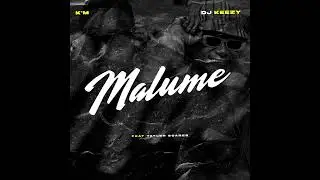 K'M & Dj Keezy - Malume (Feat. Tayler Soares)