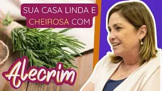 Arranjo com Alecrim 🌿 | Ideia F&aacute;cil, Cheirosa e Elegante para Decorar Sua Mesa ✨ | Chez Pixu