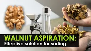 Optimizing Walnut Processing with Automated Kernel Separation. Walnut Separation Machine