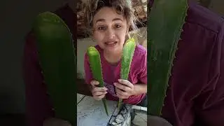 Hidrata&ccedil;&atilde;o top com babosa,recupera o cabelo ressacado