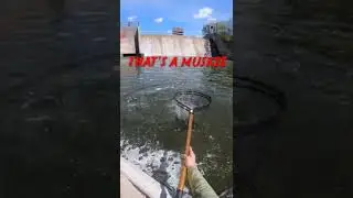 First Muskie - Fishing #Shorts