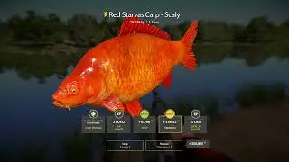 Russian Fishing 4 Amber Lake Red Starvas Carp-Scaly Kg Trophy ⭐71