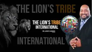 The Lion's Tribe  Magazine Launch (release)_