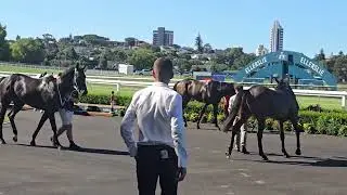 End of another hot summer day of racing at Ellerslie 