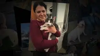 LA Animal Services Adoption Success Stories