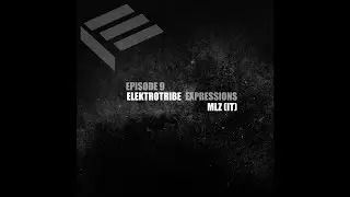 Elektrotribe Expressions Episode 09 : MLZ (IT)