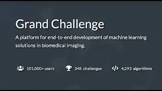HNTS-MRG 2024 Algorithm Submission Tutorial (Grand-Challenge Site)