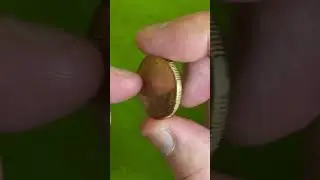 F for FARMERS $1 COIN 🐑 Great Aussie Coin Hunt 2022 (Coin Finds) #coinhunt #farmerscoin