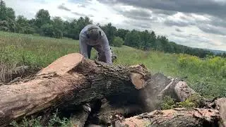 Ported Husqvarna 254xp cutting Red Oak.