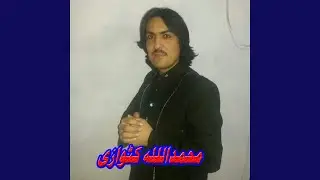 Tame Gul Zade Balbul