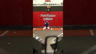 Кэтчеры просто сумасшедшие! #бейсбол #mlb #шорты