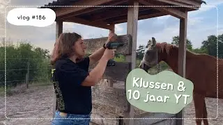 Voermetingen, 10 jaar op YouTube 😯& wondje door hoefschoenen... - Paard Optimaal - Vlog #186